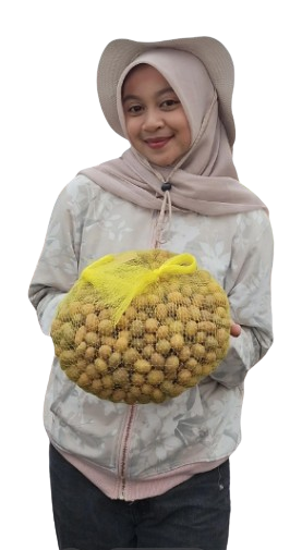 FredianFarm - Petani Kentang Professional